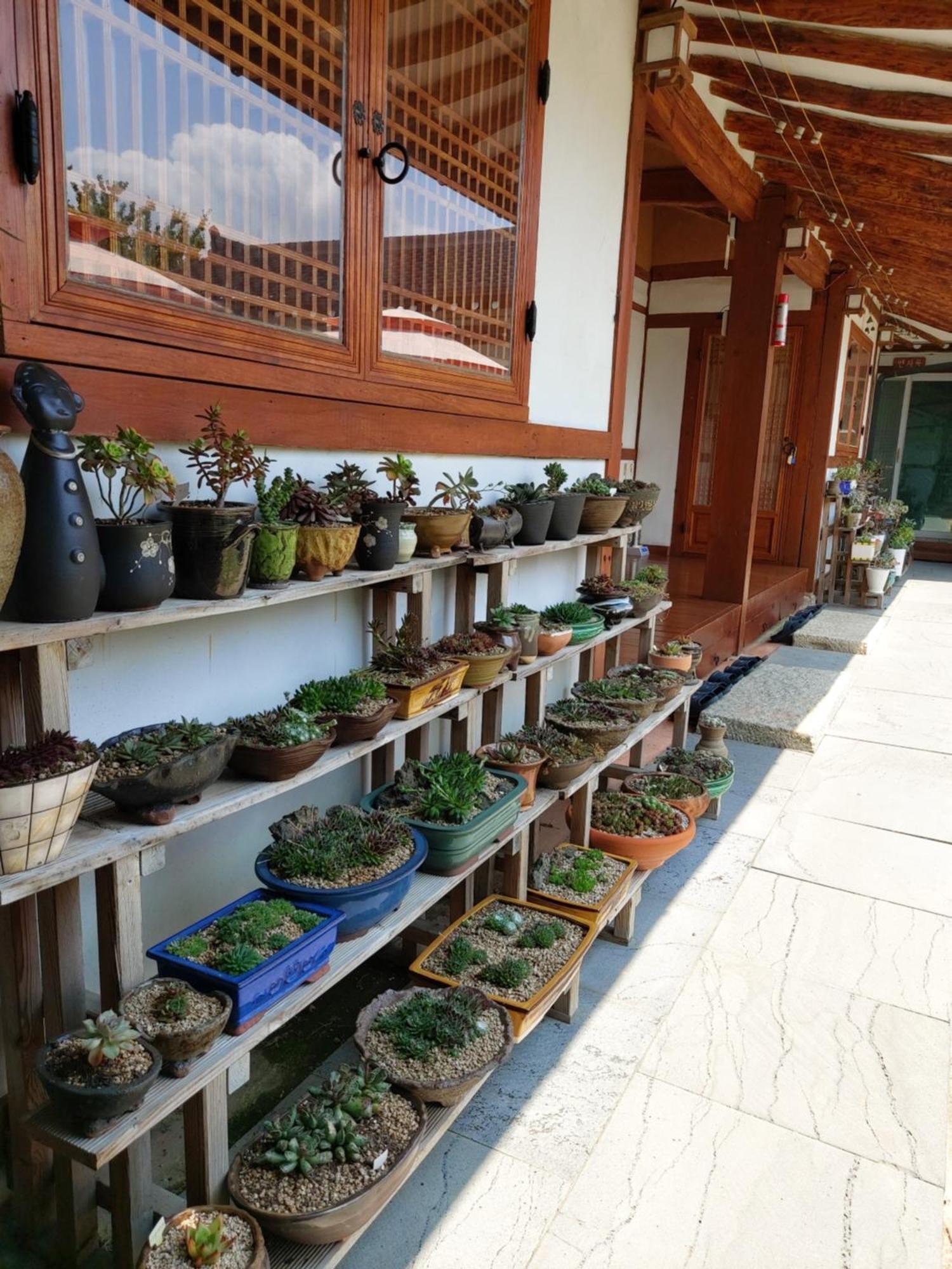 Hanok Raon 庆州 外观 照片