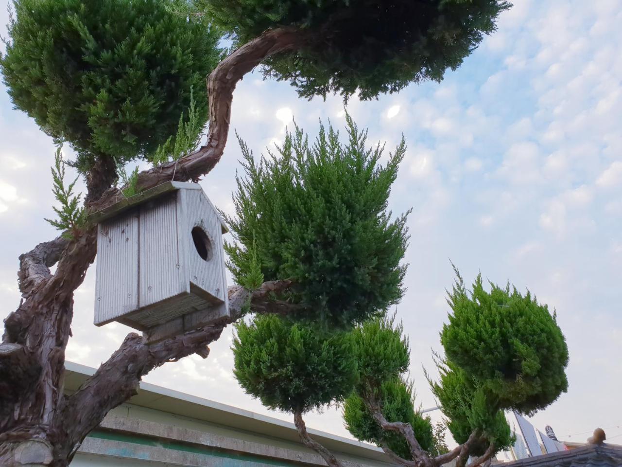 Hanok Raon 庆州 外观 照片